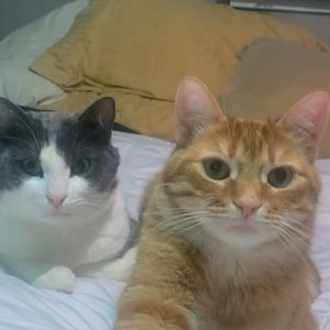 Meet your Posher, Heidi